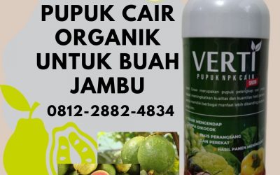 Promo, 0812-2882-4834, Agen Pupuk Jambu Air Pekan Baru, Distributor Pupuk Jambu Madu Kampar, Harga Pupuk Perangsang Buah Jambu Air Bangkinang