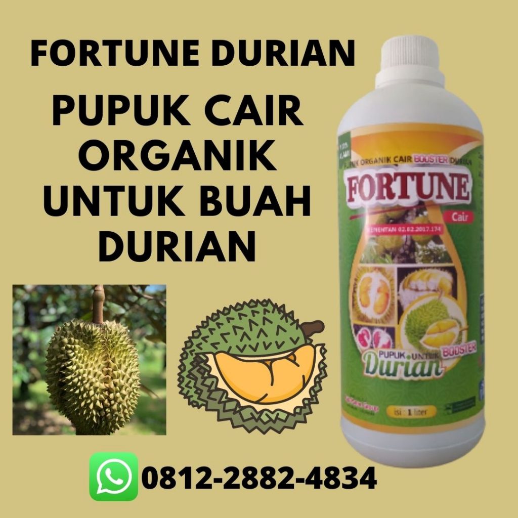 TERPERCAYA, 0812-2882-4384, Produsen Pupuk Durian Diluar Musim Bangkinang, Grosir Pupuk Durian Agar Tidak Rontok Rengat, Pabrik Pupuk Buah Durian Agar Cepat Berbuah Kasmari