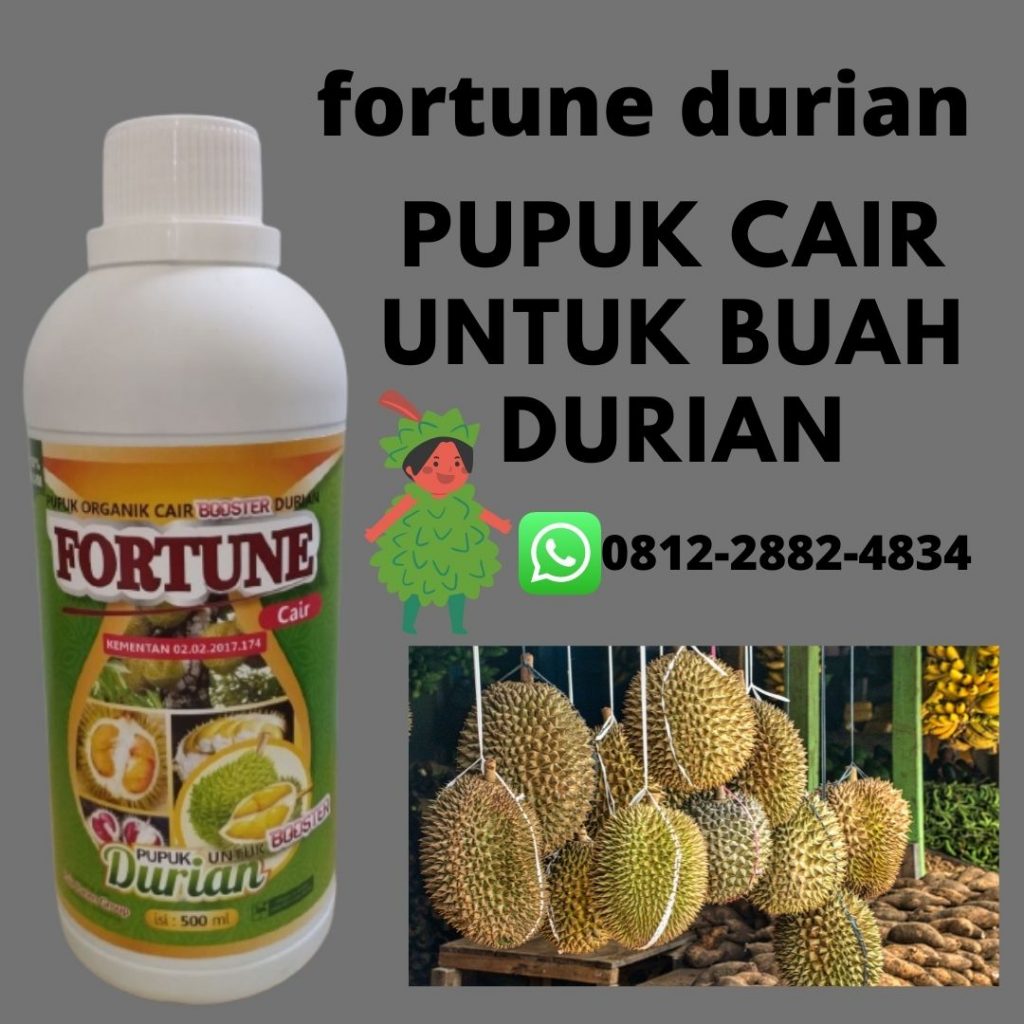DISKON, 0812-2882-4834, Produsen Pupuk Durian Berbuah Aceh Barat, Grosir Pupuk Durian Bawor Meulaboh, Grosir Pupuk Durian Bawor Meulaboh