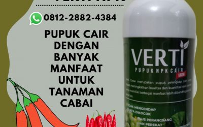 Promo, 0812-2882-4384, Agen Pupuk Cabe Rawit Musim Hujan Banda Aceh, Distributor Pupuk Cabe Setelah Panen Aceh Barat, Harga Pupuk Cabe Agar Tidak Rontok Meulaboh