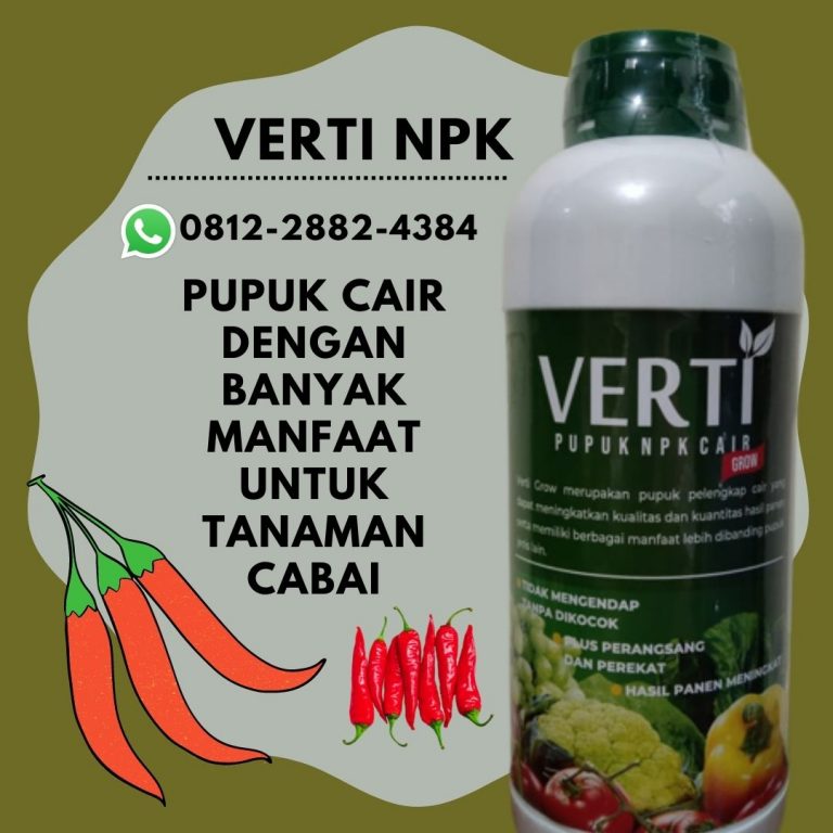 Promo, 0812-2882-4384, Agen Pupuk Cabe Rawit Musim Hujan Banda Aceh, Distributor Pupuk Cabe Setelah Panen Aceh Barat, Harga Pupuk Cabe Agar Tidak Rontok Meulaboh