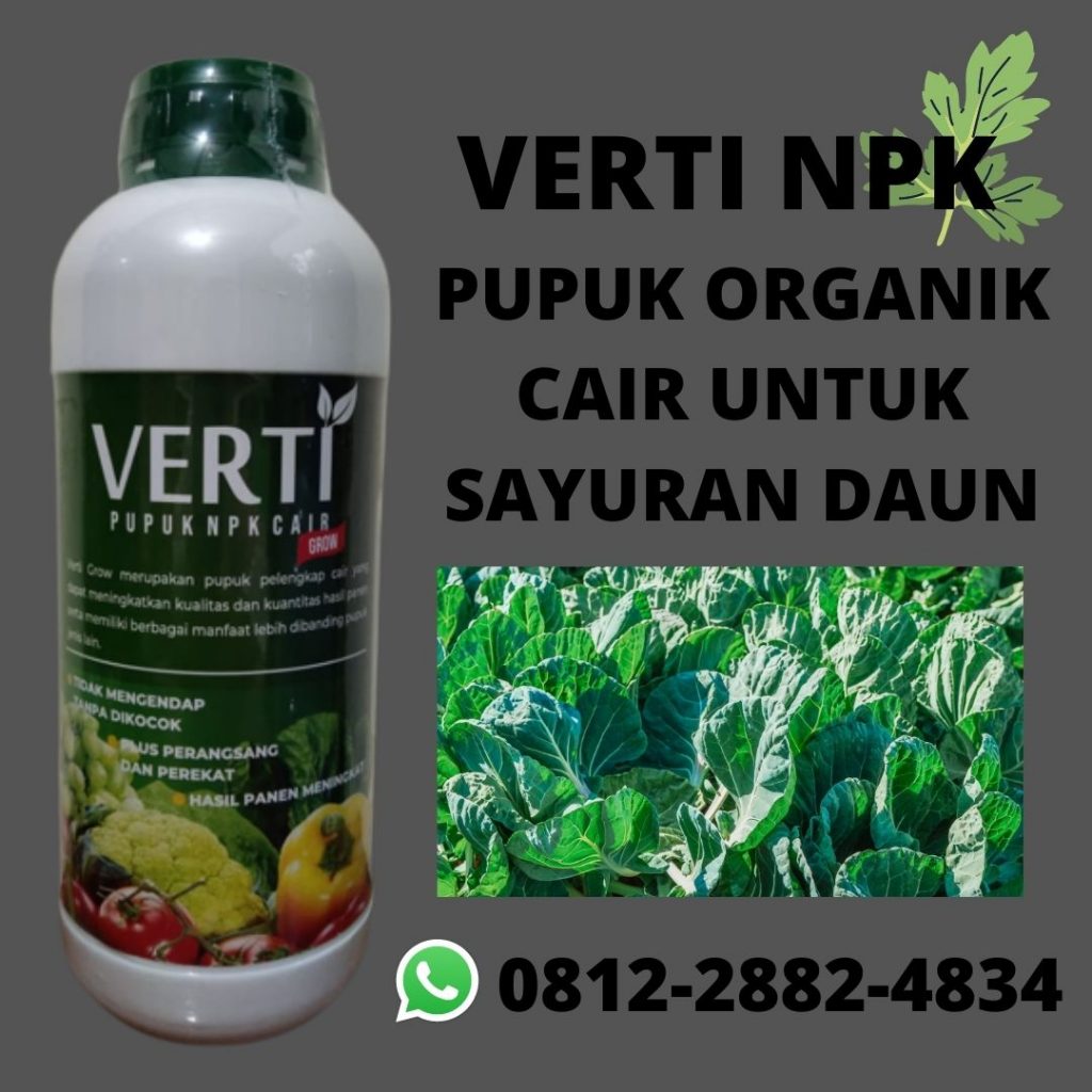 Termurah, 0812-2882-4834, Agen Pupuk Selada Keriting Palangkaraya, Pusat Pupuk Selada Air Sampit, Toko Pupuk Tanaman Selada Kapuas