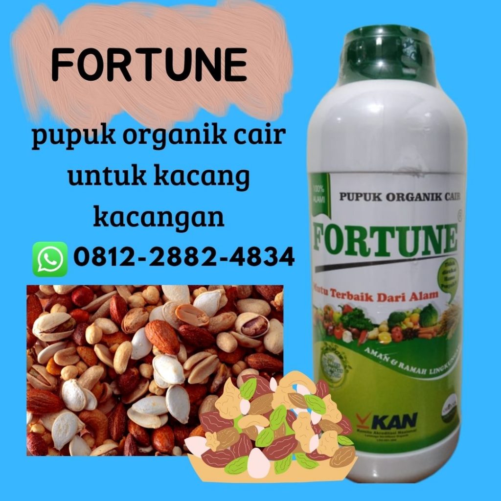 BERKAH, 0812-2882-4834, Toko Pupuk Khusus Kacang Tanah, Produsen Pupuk Untuk Kacang Tanah, Pabrik Pupuk Organik Kacang Tanah