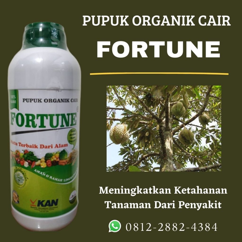 AGEN Pupuk Durian Montong Badung, DISTRIBUTOR Pupuk Durian Agar Cepat Besar Mangupura, HARGA Pupuk Buah Durian Terbaik Bangli