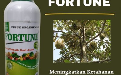 Promo, 0812-2882-4384, AGEN Pupuk Durian Montong Badung, DISTRIBUTOR Pupuk Durian Agar Cepat Besar Mangupura, HARGA Pupuk Buah Durian Terbaik Bangli