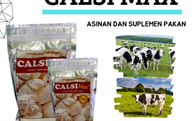 Dapatkan, 0812-2882-4834, Agen Tepung Kulit Kerang Untuk Pakan Ternak Bandung Barat, Promo Tepung Kulit Kerang Ngamprah, Beli Pakan Suplemen Sapi Perah Bekasi
