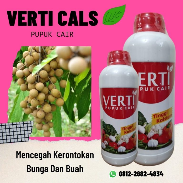 Promo, 0812-2882-4834, Agen Pupuk Pembesar Buah Kelengkeng Semarang, Distributor Pupuk Pelebat Buah Kelengkeng Brebes, Harga Pupuk Cair Perangsang Buah Kelengkeng Cilacap