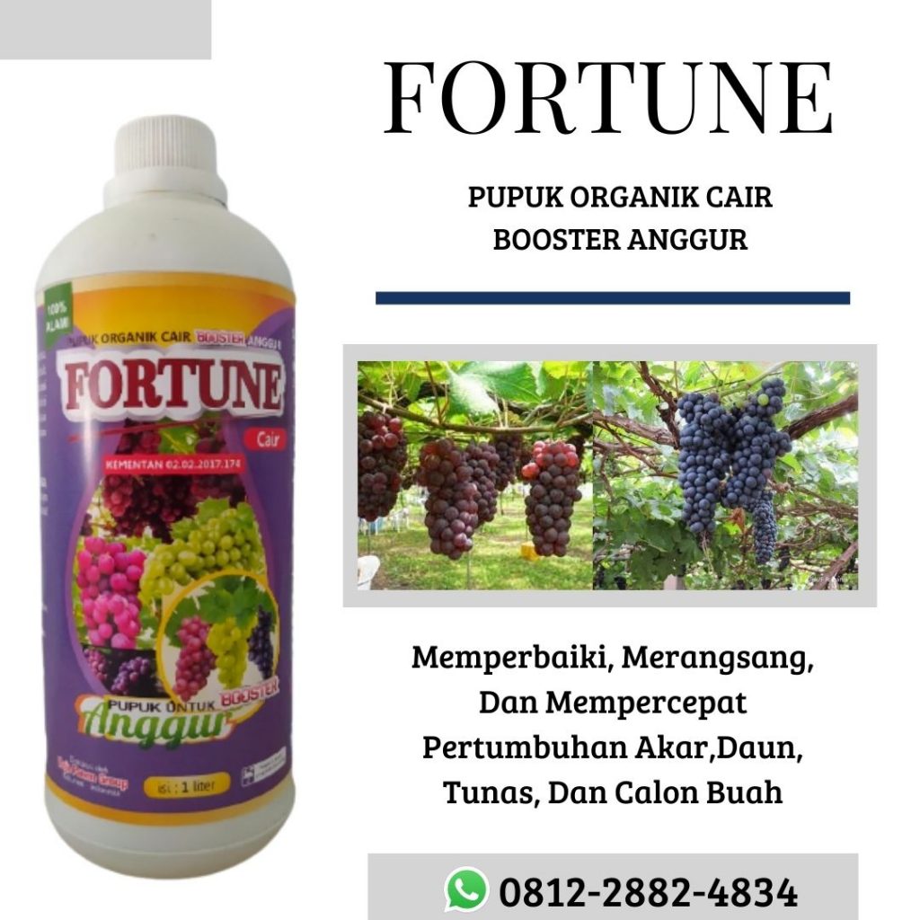 MURAH, 0812-2882-4834, Distributor Pupuk Anggur Yang Sedang Berbuah Gunungkidul, Harga Pupuk Anggur Agar Cepat Berbuah Kulon Progo, Harga Pupuk Anggur Agar Cepat Berbuah Kulon Progo
