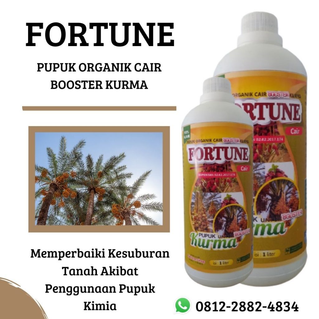 MURAH, 0812-2882-4834, Distributor Pupuk Anggur Yang Sedang Berbuah Gunungkidul, Harga Pupuk Anggur Agar Cepat Berbuah Kulon Progo, Harga Pupuk Anggur Agar Cepat Berbuah Kulon Progo