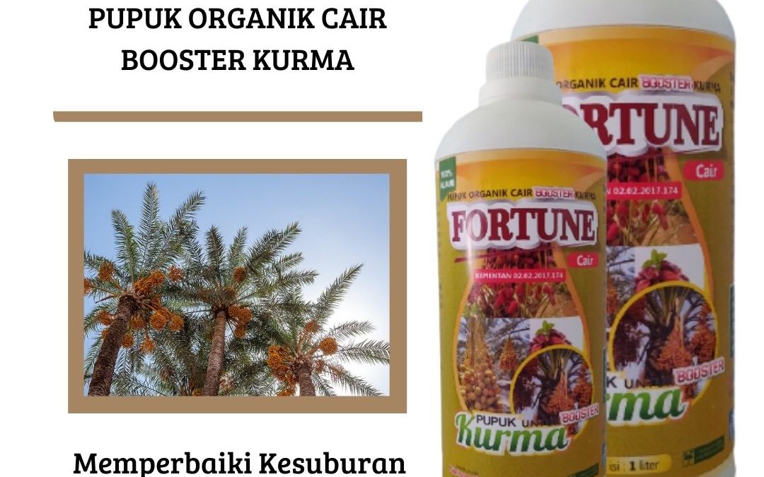 DISKON, 0812-2882-4834, Produsen Pupuk Booster Buah Kurma Kalianda, Grosir Pupuk Booster Cair Kurma Lampung Tengah, Grosir Pupuk Booster Cair Kurma Lampung Tengah