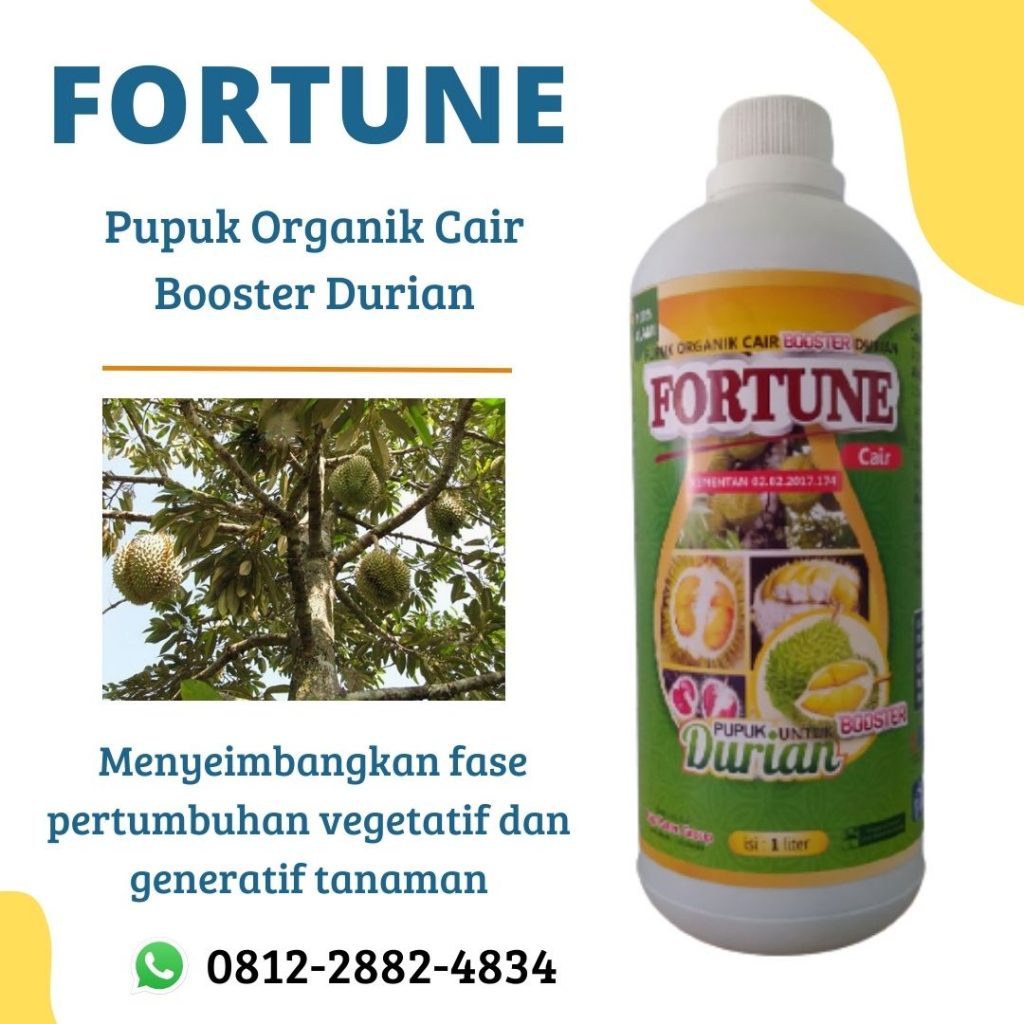 Murah, 0812-2882-4384, Harga Pupuk Durian Agar Cepat Besar Pangkalan Balai, Produsen Pupuk Durian Montong Empat Lawang, Grosir Pupuk Durian Di Musim Hujan Tebing Tinggi