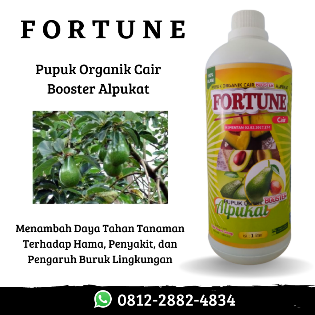 Murah, 0812-2882-4834, Distributor Pupuk Alpukat Aligator Banyuwangi, Harga Pupuk Alpukat Agar Tidak Rontok Banyuwangi, Produsen Pupuk Booster Alpukat Kanigoro
