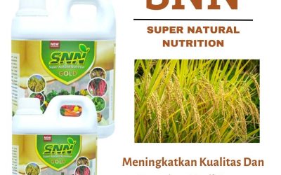 Online, 0812-2882-4834, Beli Pupuk Padi Patah Leher Oelamasi, Asli Pupuk Padi Umur 45 Hari Timor Tengah Selatan, Toko Pupuk Padi Cepat Panen Timor Tengah Utara