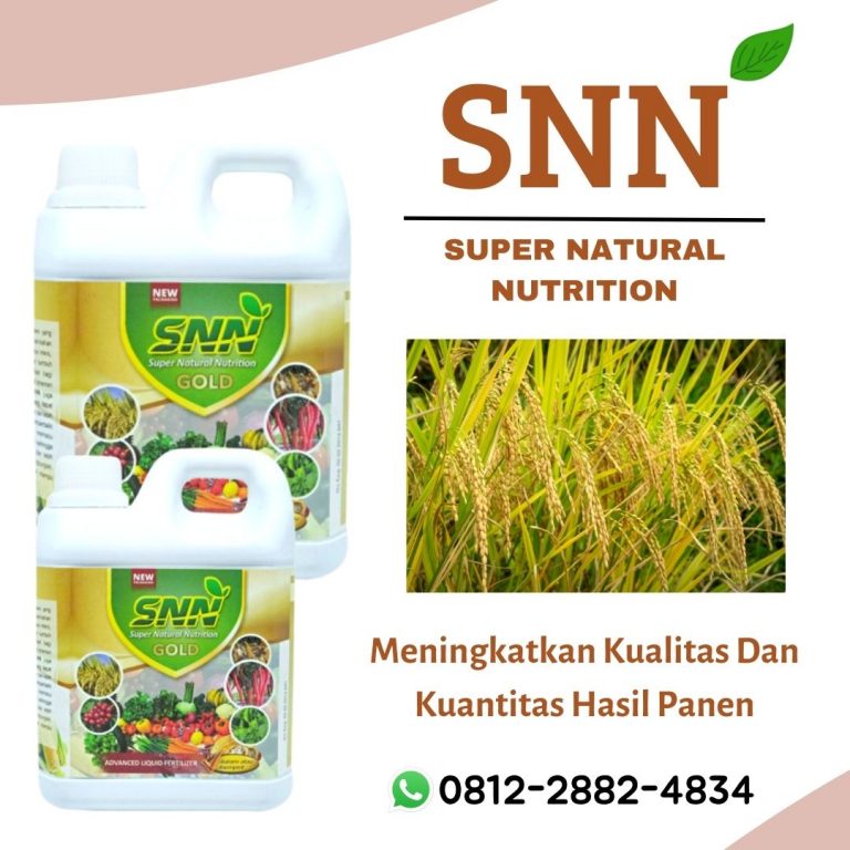 Online, 0812-2882-4834, Beli Pupuk Padi Patah Leher Oelamasi, Asli Pupuk Padi Umur 45 Hari Timor Tengah Selatan, Toko Pupuk Padi Cepat Panen Timor Tengah Utara