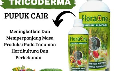 Terbaru, 0812-2882-4384, Pabrik Obat Layu Tanaman Terong Palangkaraya, Murah Obat Layu Fusarium Pada Semangka Sampit, Diskon Obat Alami Layu Fusarium Kapuas