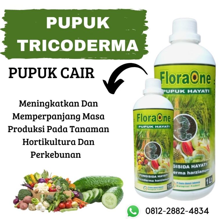 Terbaru, 0812-2882-4384, Pabrik Obat Layu Tanaman Terong Palangkaraya, Murah Obat Layu Fusarium Pada Semangka Sampit, Diskon Obat Alami Layu Fusarium Kapuas