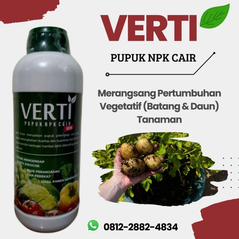 Promo, 0812-2882-4834, Agen Pupuk Kentang Musim Hujan Brebes, Distributor Pupuk Buah Kentang Cilacap, Harga Pupuk Pembesar Kentang Demak