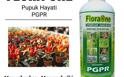 Promo, 0812-2882-4834, Agen Pupuk Organik Pgpr Palangkaraya, Distributor Pupuk Cair Pgpr Kotawaringin Barat, Harga Pupuk Hayati Tanaman Karet Sampit