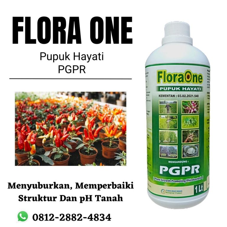 Promo, 0812-2882-4834, Agen Pupuk Organik Pgpr Palangkaraya, Distributor Pupuk Cair Pgpr Kotawaringin Barat, Harga Pupuk Hayati Tanaman Karet Sampit