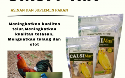 Promo, 0812-2882-4834, Agen Tulang Sotong Untuk Burung Brebes, Distributor Tulang Sotong Untuk Perkutut Cilacap, Harga Tulang Sotong Untuk Lovebird Demak
