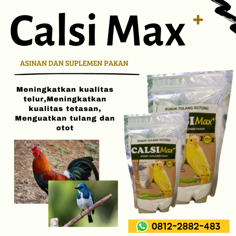 Promo, 0812-2882-4834, Agen Tulang Sotong Untuk Burung Brebes, Distributor Tulang Sotong Untuk Perkutut Cilacap, Harga Tulang Sotong Untuk Lovebird Demak