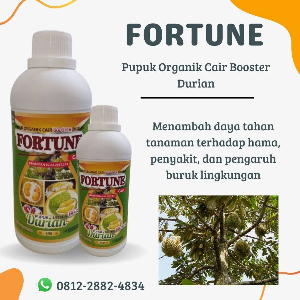AMPUH, 0812-2882-4834, Produsen Pupuk Durian Cepat Berbuah Badung, Grosir Pupuk Durian Musang King Mangupura, Grosir Pupuk Durian Musang King Mangupura