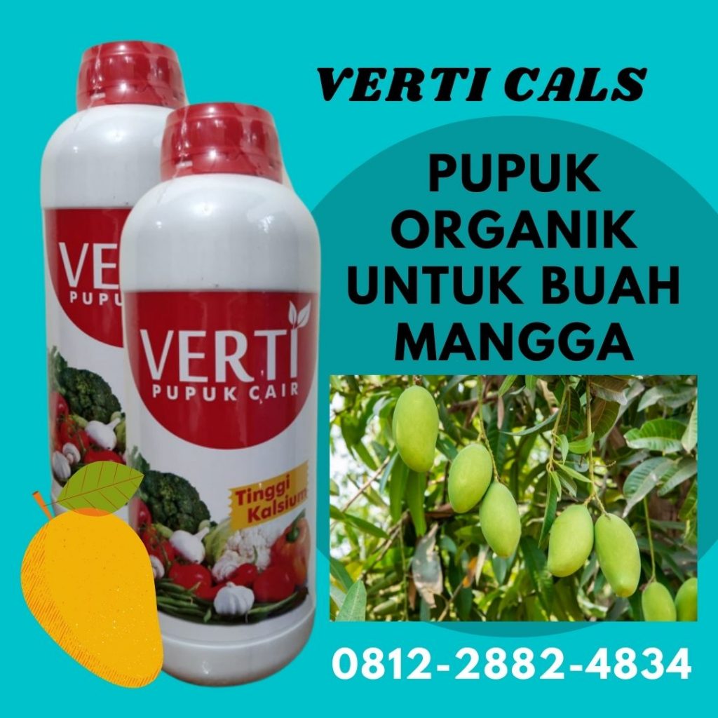 Agen Pupuk Mangga Agar Berbuah Lebat  Padang, Harga Pupuk Mangga Berbuah Lebat Painan, Produsen Pupuk Mangga Irwin Sijunjung