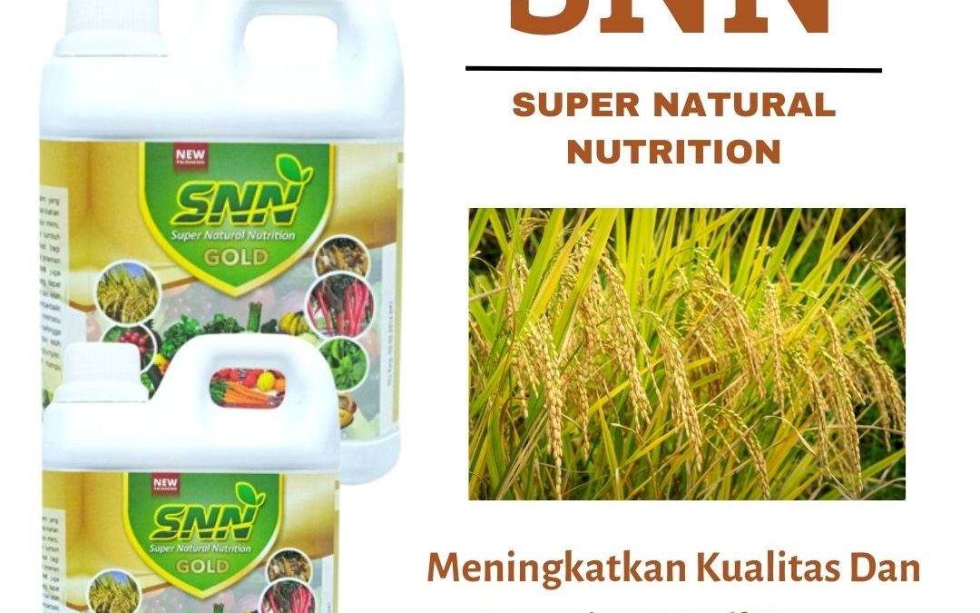 Online, 0812-2882-4834, Beli Pupuk Padi Patah Leher Oelamasi, Asli Pupuk Padi Umur 45 Hari Timor Tengah Selatan, Toko Pupuk Padi Cepat Panen Timor Tengah Utara