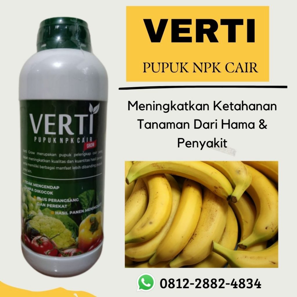 Promo, 0812-2882-4834, Agen Pupuk Pisang Agar Cepat Berbuah Pemangkat, Distributor Pupuk Pisang Ambon Pontianak, Harga Pupuk Pisang Kepok Sambas