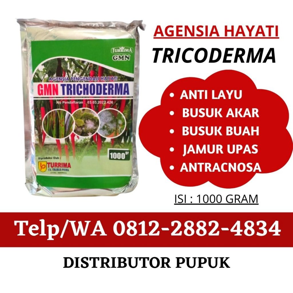 Supplier Trichoderma Untuk Layu Cabe Pasamanl, Suplier Trichoderma Untuk Layu Cabai Lubuk Sikaping, Pusat Trichoderma Untuk Layu Cengkeh Kepulauan Mentawai, Distributor Trichoderma Untuk Layu Durian Tuapejat, Produsen Trichoderma Untuk Layu Fusarium Dharmasraya, Pabrik Trichoderma Untuk Layu Jahe Pulau Punjung, Agen Obat Layu Fusarium Pada Pisang Solok Selatan, Harga Obat Layu Fusarium Pada Semangka Padang Aro, Supplier Pupuk Layu Fusarium Padang, Suplier Pupuk Layu Fusarium Pada Cabai Painan