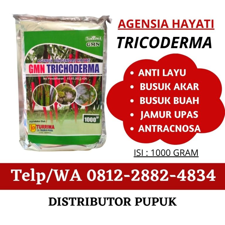 HUB, 0812-2882-4834, Supplier Trichoderma Untuk Layu Cabe Pasaman, Suplier Trichoderma Untuk Layu Cabai Lubuk Sikaping, Pusat Trichoderma Untuk Layu Cengkeh Kepulauan Mentawai