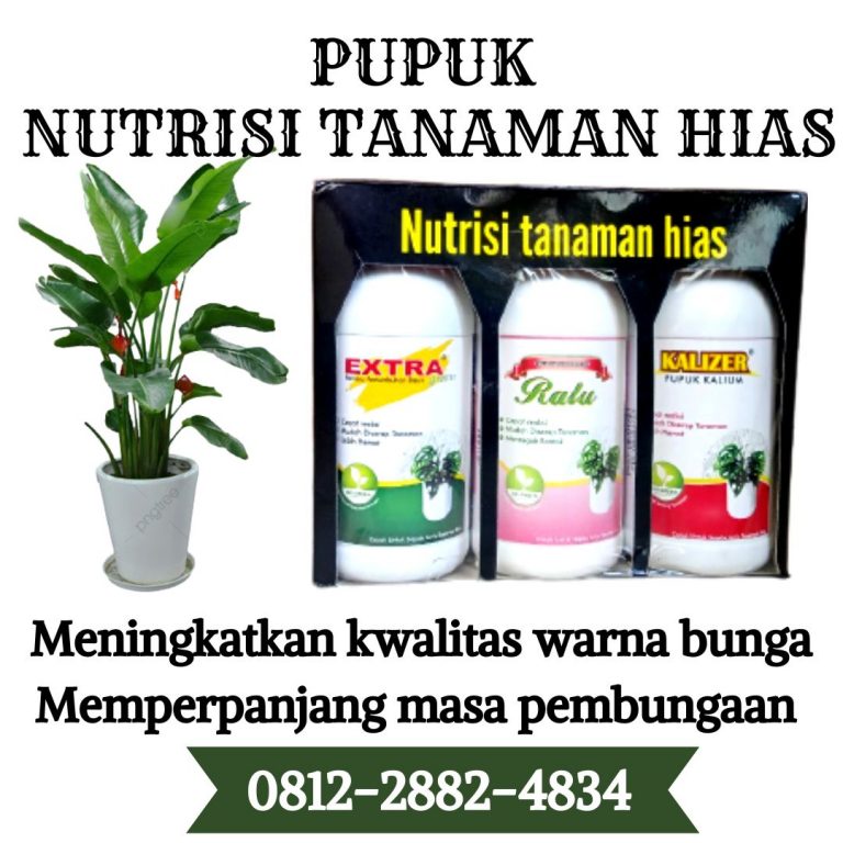 HUB, 0812-2882-4834, Distributor Pupuk Pelebat Daun Tanaman Hias Purwokerto, Produsen Pupuk Perangsang Daun Tanaman Hias Batang, Pabrik Pupuk Untuk Akar Dan Daun Tanaman Hias Blora