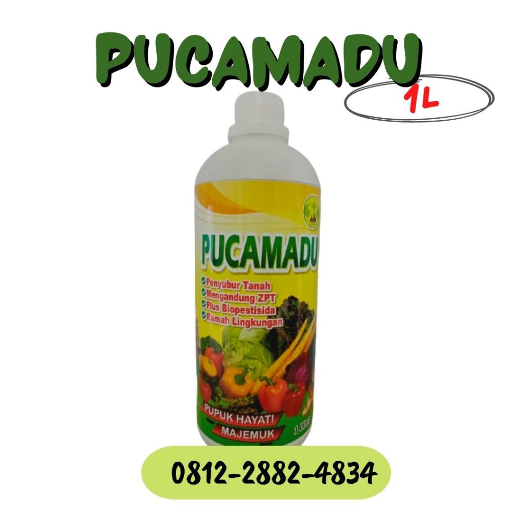 Distributor Pupuk Umbi Kentang Tapanuli Utara, Produsen Obat Kentang Tarutung, Pabrik Obat Kentang Busuk Daun Tapanuli Selatan