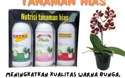 WA, 0812-2882-4834, Distributor Pupuk Untuk Tanaman Hias Agar Subur Soe, Produsen Pupuk Alami Untuk Tanaman Hias Timor Tengah Utara, Pabrik Pupuk Agar Tanaman Hias Subur Kefamenanu