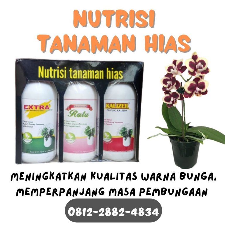 WA, 0812-2882-4834, Distributor Pupuk Untuk Tanaman Hias Agar Subur Soe, Produsen Pupuk Alami Untuk Tanaman Hias Timor Tengah Utara, Pabrik Pupuk Agar Tanaman Hias Subur Kefamenanu