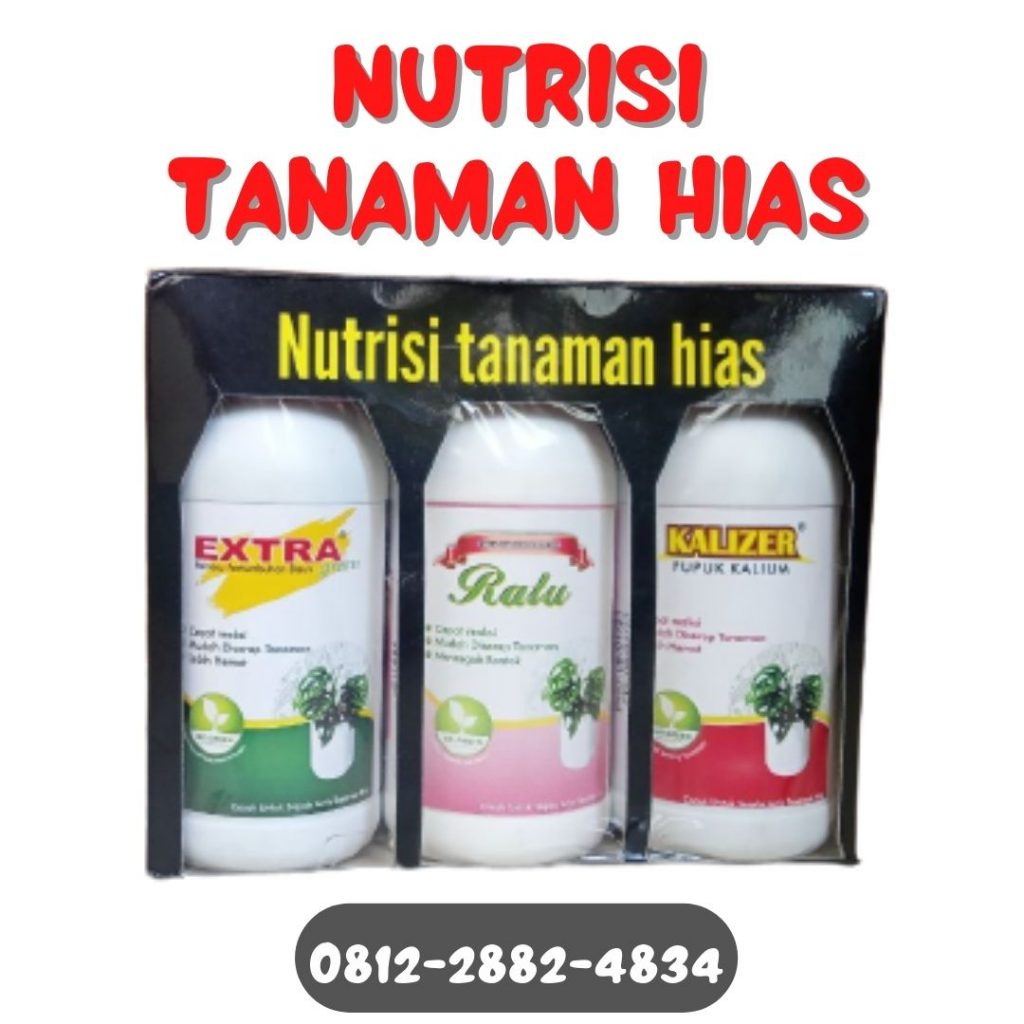 Distributor Pupuk Untuk Tanaman Hias Agar Subur Soe, Produsen Pupuk Alami Untuk Tanaman Hias Timor Tengah Utara, Pabrik Pupuk Agar Tanaman Hias Subur Kefamenanu