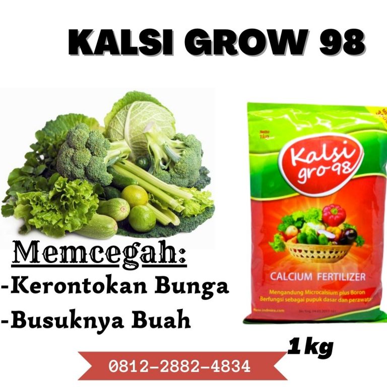 TERLARIS! WA 0812-2882-4834 GROSIR Pupuk Kalsium Super di Gunungsitoli, PRODUSEN Pupuk Kalsium Plus Boron di Langkat, DISTRIBUTOR Pupuk Super Kalsium Terbaik Untuk Tanaman di Stabat