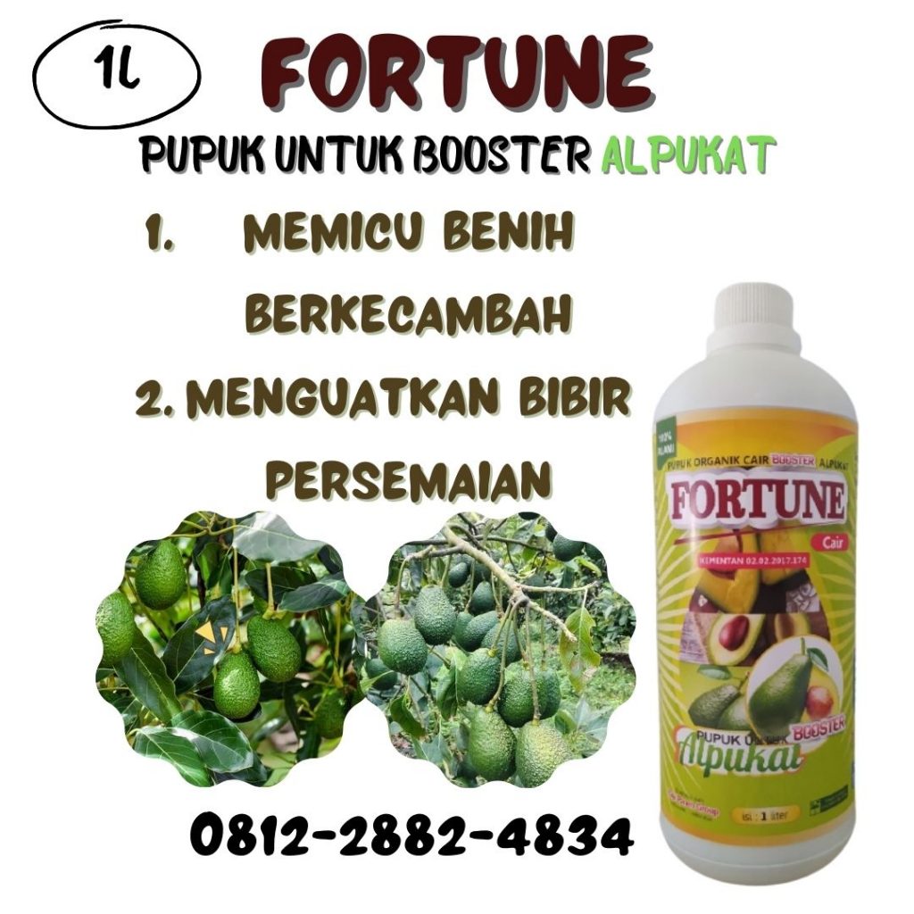 Grosir Pupuk Alpukat Kendil Jember, Jual Booster Buah Alpukat Jombang, Supplier Booster Buah Alpukat Aligator Kediri