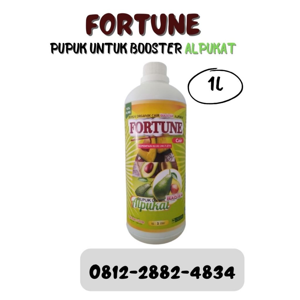 Grosir Pupuk Alpukat Kendil Jember, Jual Booster Buah Alpukat Jombang, Supplier Booster Buah Alpukat Aligator Kediri
