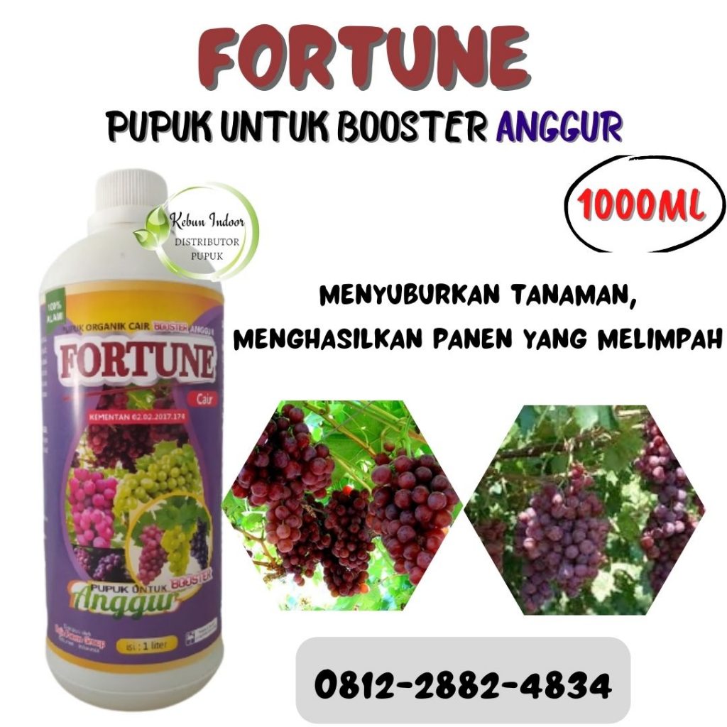 Grosir Pupuk Anggur Cair Brazil Agar Cepat Berbuah Yogyakarta, Grosir Pupuk Alpukat Cair Berbunga Pasuruan, Supplier Pupuk Anggur Cair Biar Manis Gunungkidul