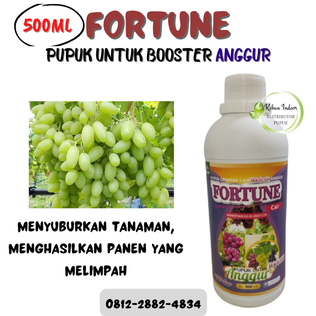 Grosir Pupuk Bibit Anggur Fase Vegetatif Ciamis, Supplier Pupuk Alpukat Cair Caruban, Supplier Pupuk Untuk Tanaman Buah Anggur Cirebon
