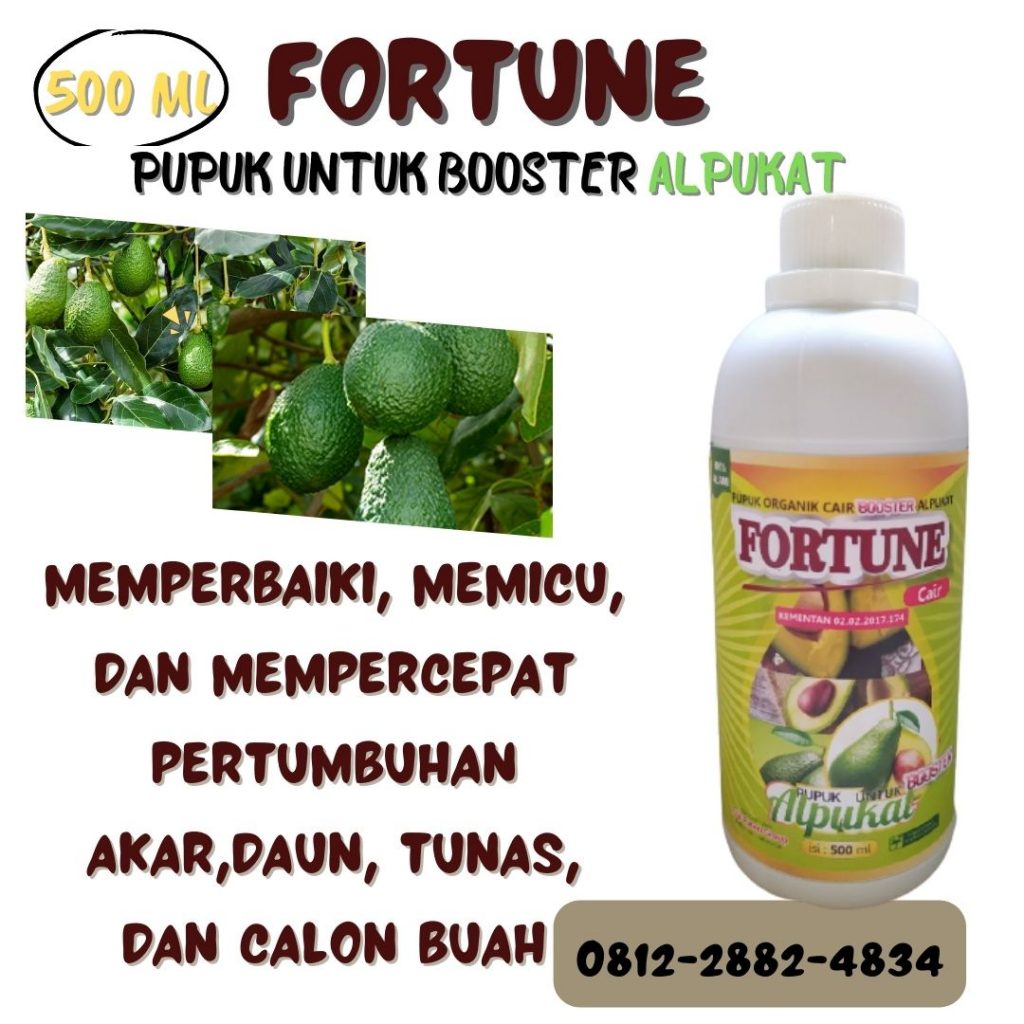 Grosir Pupuk Khusus Alpukat Saat Berbunga Kota Madiun, Grosir Pupuk Alpukat Cair Berbunga Pasuruan, Supplier Pupuk Khusus Alpukat Supaya Pohon Kota Mojokerto