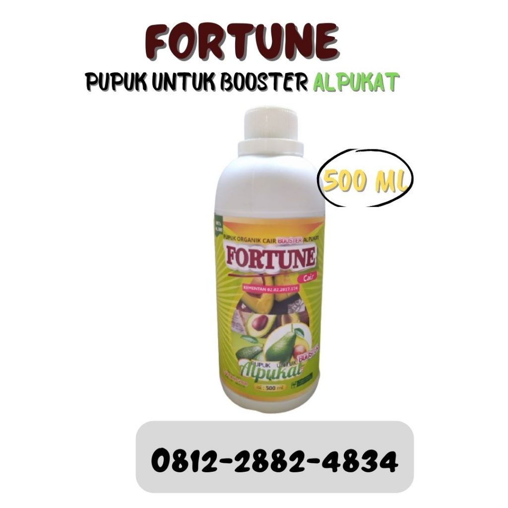 Grosir Pupuk Khusus Alpukat Saat Berbunga Kota Madiun, Grosir Pupuk Alpukat Cair Berbunga Pasuruan, Supplier Pupuk Khusus Alpukat Supaya Pohon Kota Mojokerto
