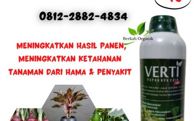 SUPPLIER, 0812-2882-4834, Grosir Pupuk Npk Cair Untuk Bunga Tembilahan, Supplier Pupuk Alpukat Cair Caruban, Supplier Npk Cair Untuk Bawang Merah Pangkalan Kerinci