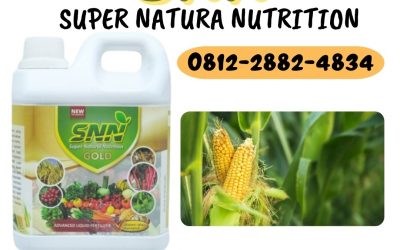 SUPPLIER, 0812-2882-4834, Grosir Pupuk Pemberat Buah Jagung Tolitoli, Supplier Pupuk Alpukat Cair Caruban, Supplier Pupuk Cair Jagung Hibrida Buol