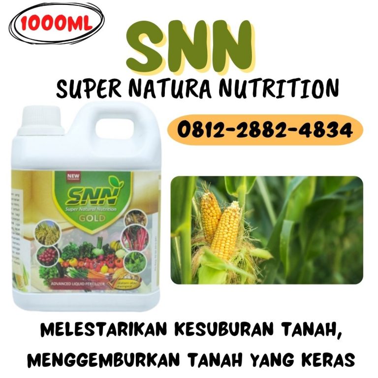 SUPPLIER, 0812-2882-4834, Grosir Pupuk Pemberat Buah Jagung Tolitoli, Supplier Pupuk Alpukat Cair Caruban, Supplier Pupuk Cair Jagung Hibrida Buol