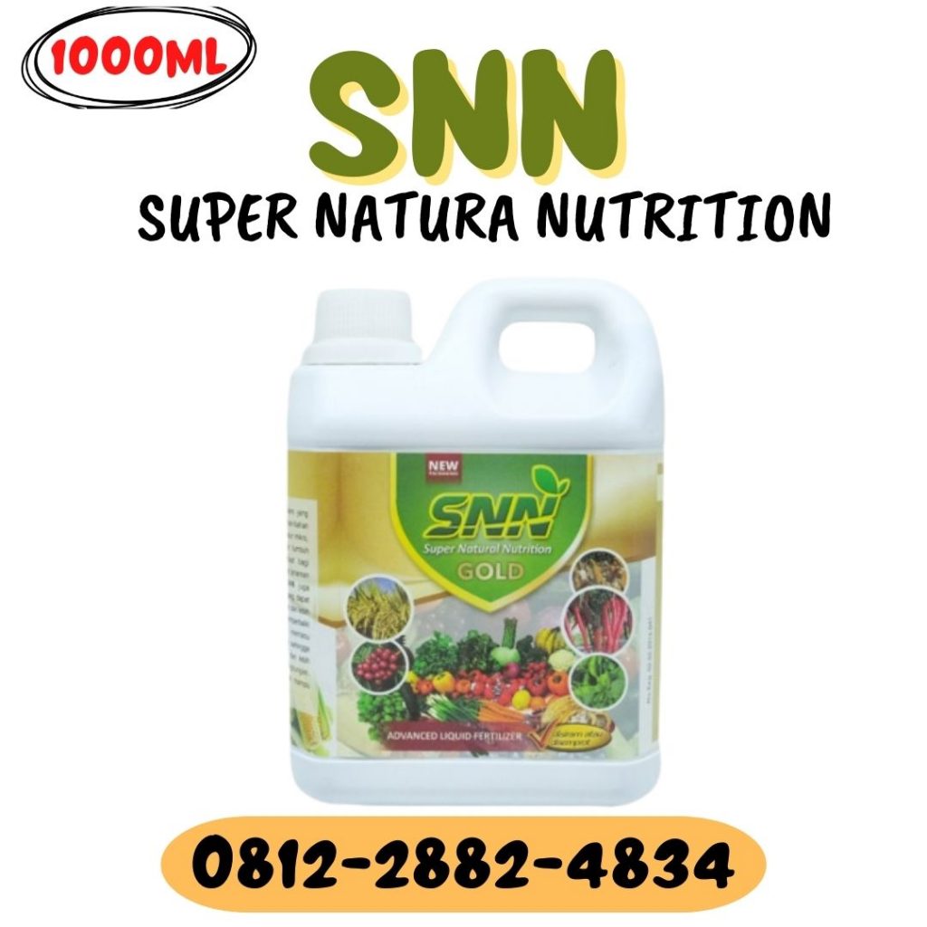 Grosir Pupuk Pemberat Buah Jagung Tolitoli, Supplier Pupuk Alpukat Cair Caruban, Supplier Pupuk Cair Jagung Hibrida Buol
