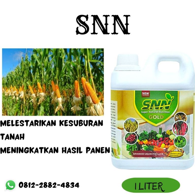 PUSAT, 0812-2882-4834, Grosir Pupuk Untuk Tanaman Jagung Tulang Bawang, Supplier Pupuk Alpukat Cair Caruban, Supplier Pupuk Cair Pembesar Buah Jagung Tanggamus
