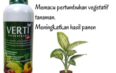 TERBARU! WA 0812-2882-4834 PABRIK Pupuk Akar Dan Pupuk Daun di Sarolangun, HARGA Pupuk Daun Anti Keriting di Batanghari, SUPPLIER Pupuk Daun Bunga Dan Buah di Muara Bulian