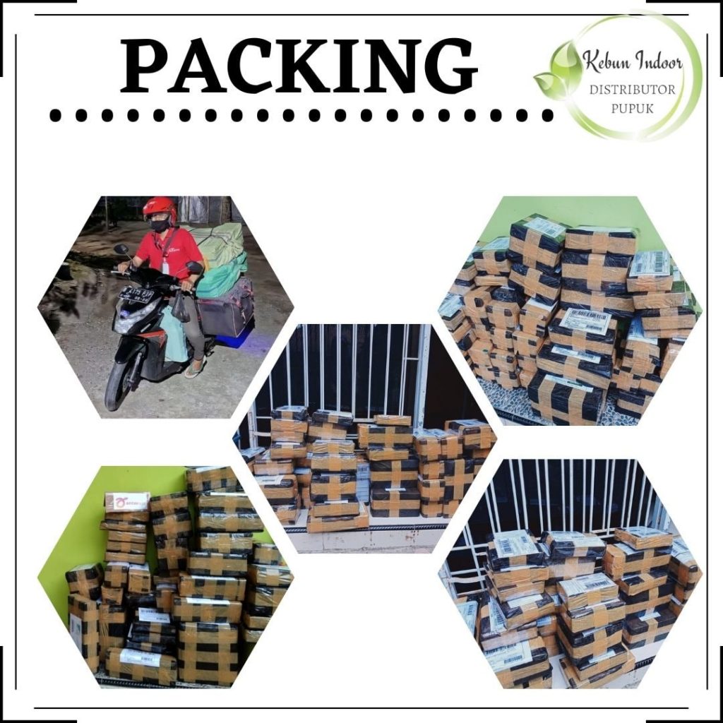 PABRIK Pupuk Akar Dan Pupuk Daun di Sarolangun, HARGA Pupuk Daun Anti Keriting di Batanghari, SUPPLIER Pupuk Daun Bunga Dan Buah di Muara Bulian, GROSIR Pupuk Daun Cair di Muaro Jambi, PRODUSEN Pupuk Daun Cair Terbaik di Sengeti, DISTRIBUTOR Pupuk Daun Dan Batang di Tanjung Jabung Barat, TOKO Pupuk Daun Bawang Merah di Kuala Tungkal, AGEN Pupuk Daun Cair Untuk Padi di Tanjung Jabung Timur, PUSAT Pupuk Npk Fertilizer di Muara Sabak, JUAL Pupuk Daun Dan Bunga di Bungo